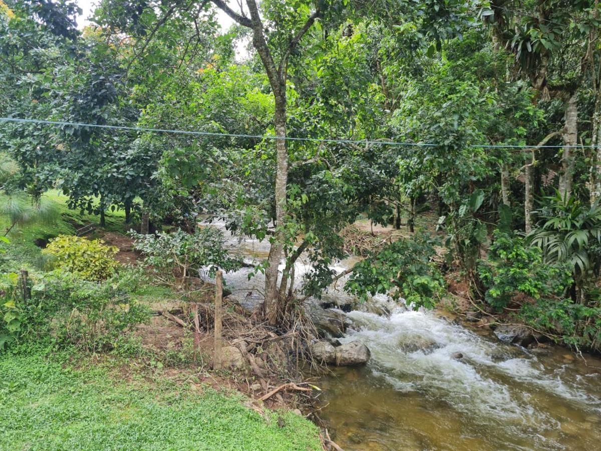 Chalé rústico truta dá floresta 3 Visconde de Mauá Extérieur photo